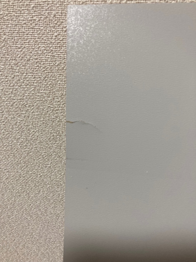 1件目のレビュー画像 | 3