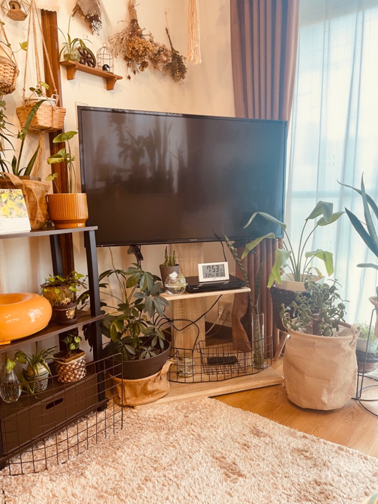 全体のレビュー画像 | 5-0