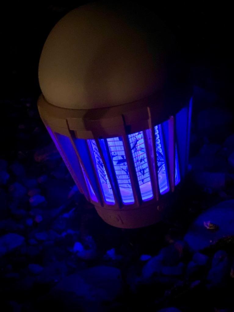 全体のレビュー画像 | 4-0