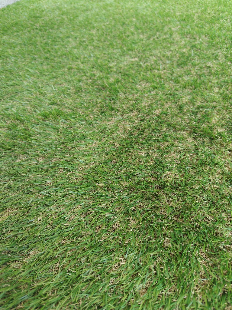 全体のレビュー画像 | 4-0