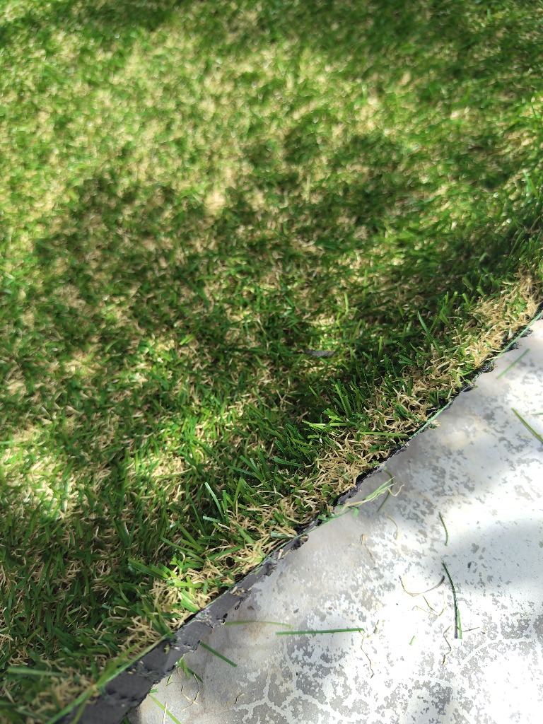 全体のレビュー画像 | 4-1