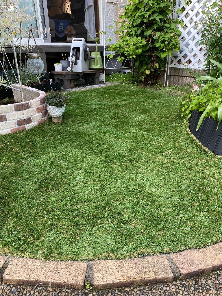 全体のレビュー画像 | 8-1