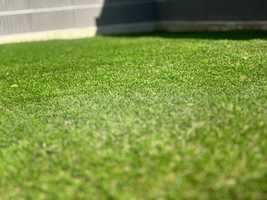 全体のレビュー画像 | 1-0