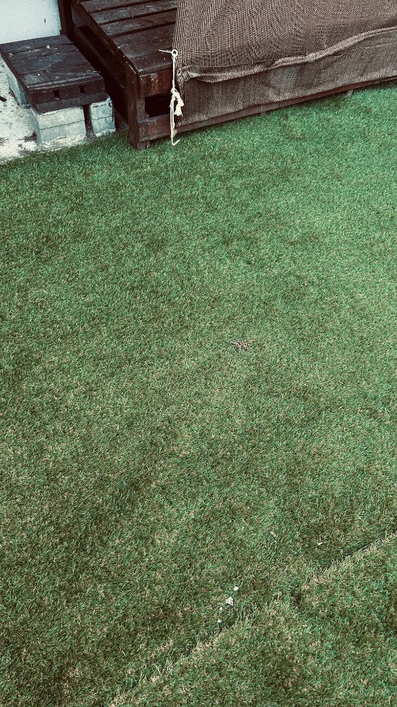 全体のレビュー画像 | 5-0