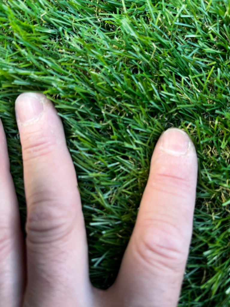 全体のレビュー画像 | 2-3