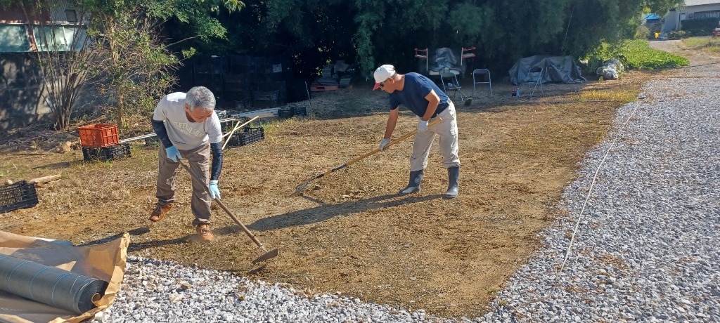 全体のレビュー画像 | 1-0