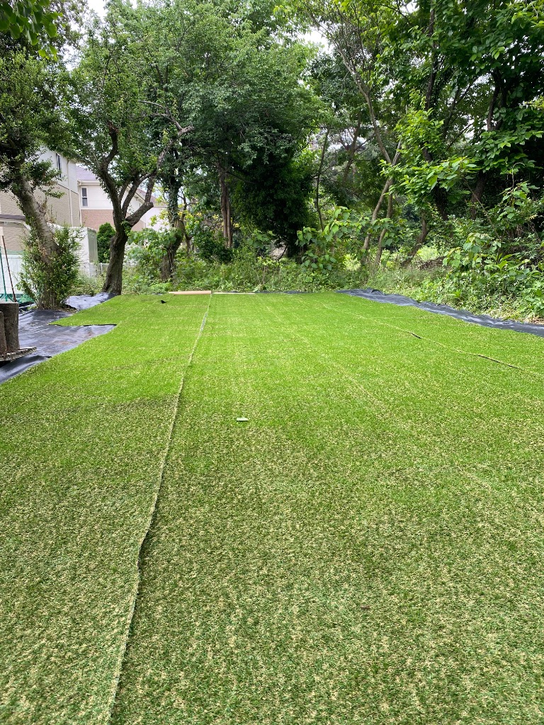 全体のレビュー画像 | 1-0