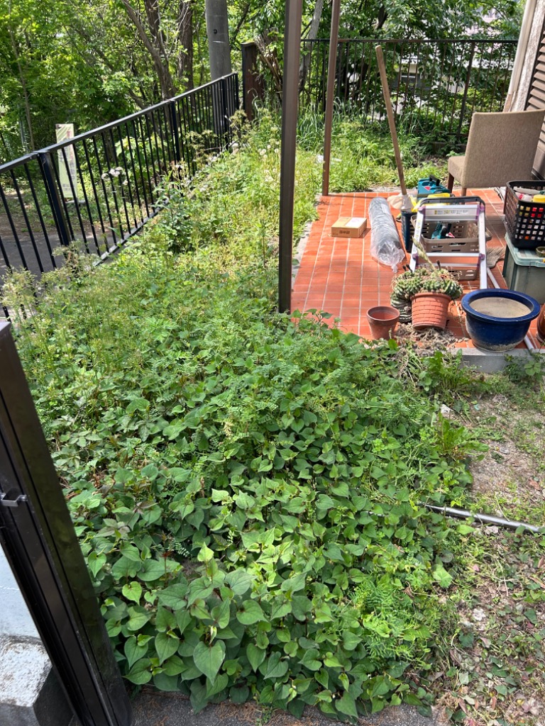 全体のレビュー画像 | 2-0