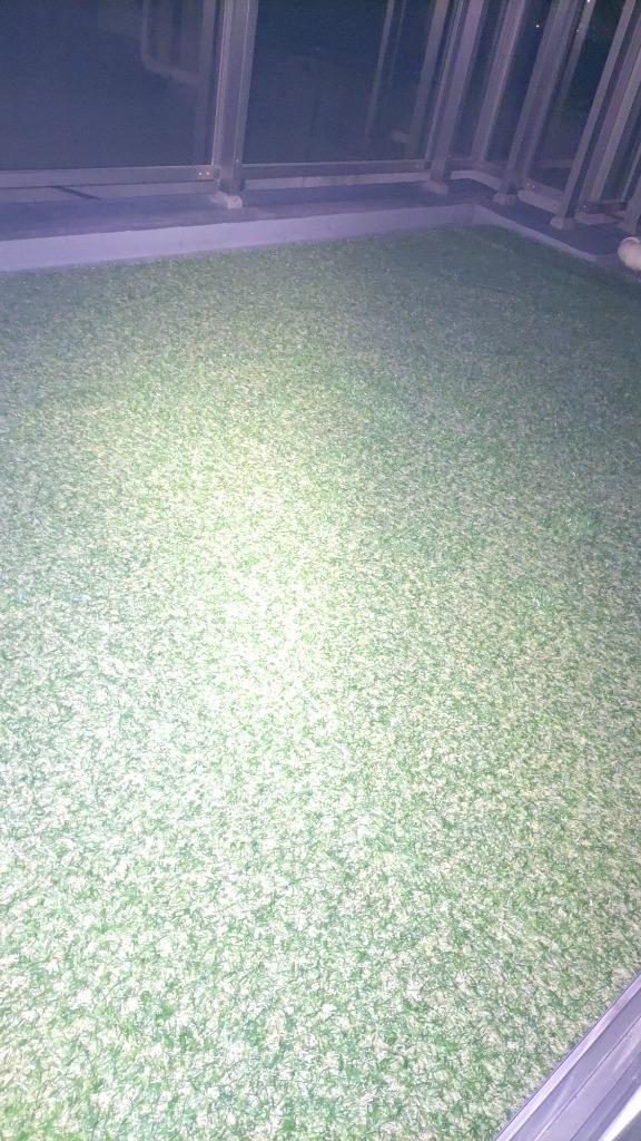 全体のレビュー画像 | 3-0