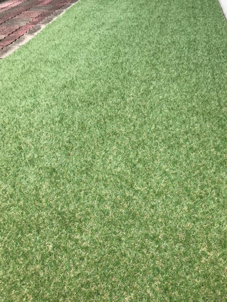 全体のレビュー画像 | 7-0