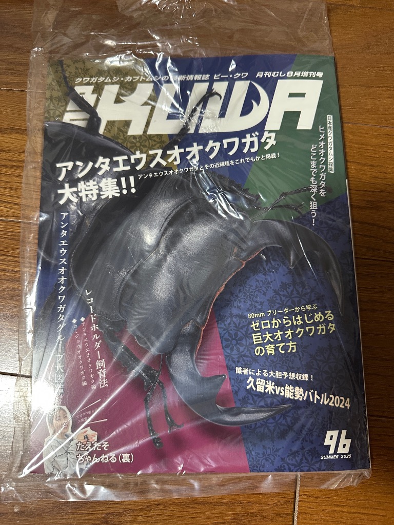 ビークワ1 BE-KUWAシリーズ | Dorcusfarm