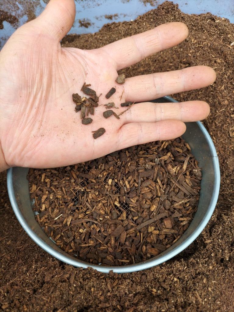 送料込み！プロ仕様 発酵カブトマット 約50Ｌ箱（カブトムシの幼虫 