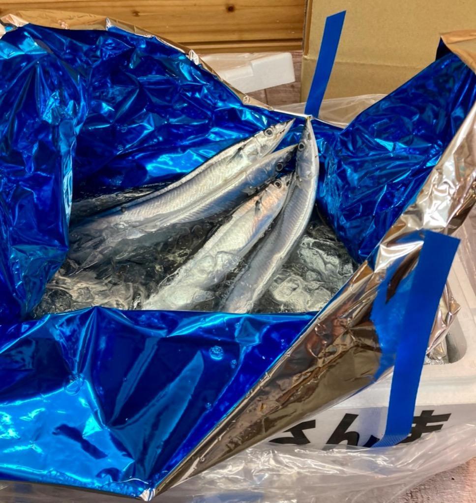 期間限定お試し価格】 送料無料 氷水生サンマ 北海道産 根室 釧路 特大 浜呼び名 2kg前後16尾前後 空輸で翌日着 獲れたて 生さんま  日帰りトロさんま 最高級 秋刀魚
