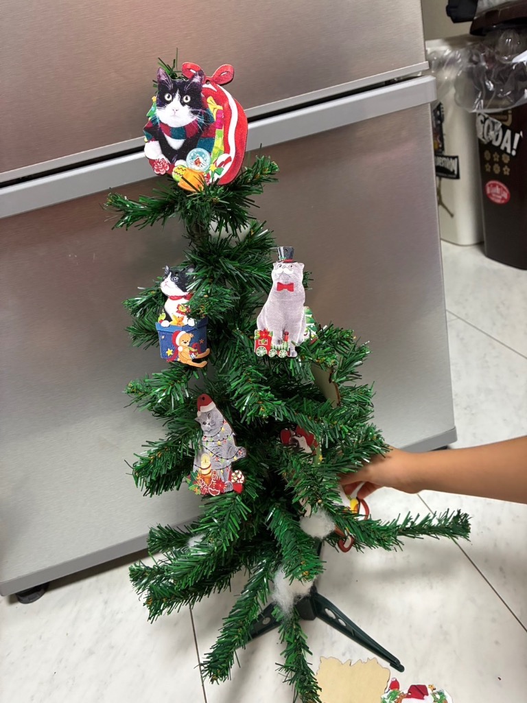 5件目のレビュー画像 | 0