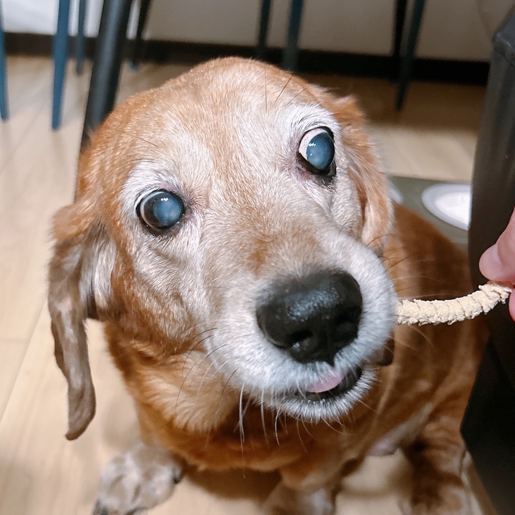 2件目のレビュー画像 | 0