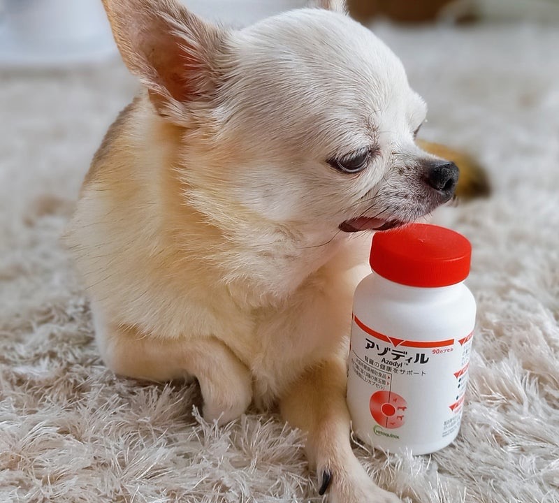 楽天市場】アゾディル 90cap 2セット 犬猫用サプリメント 全国