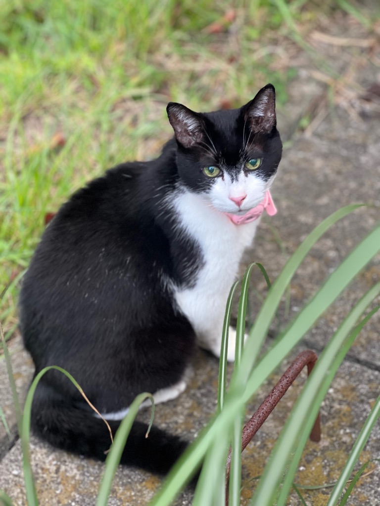 全体のレビュー画像 | 0-0