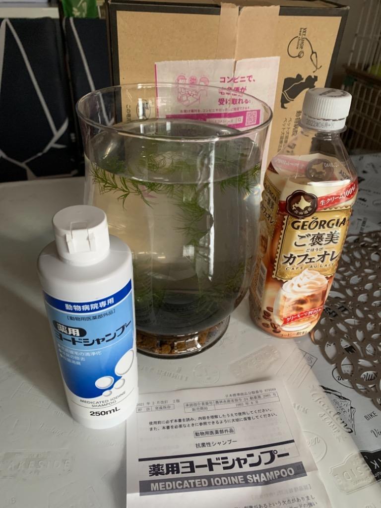 あすつく】『薬用ヨードシャンプー 250ml×１本】犬猫【ささえあ製薬】【医薬部外品】  :fjt-052700-001000:ペット犬猫療法食アニマルドクター - 通販 - Yahoo!ショッピング