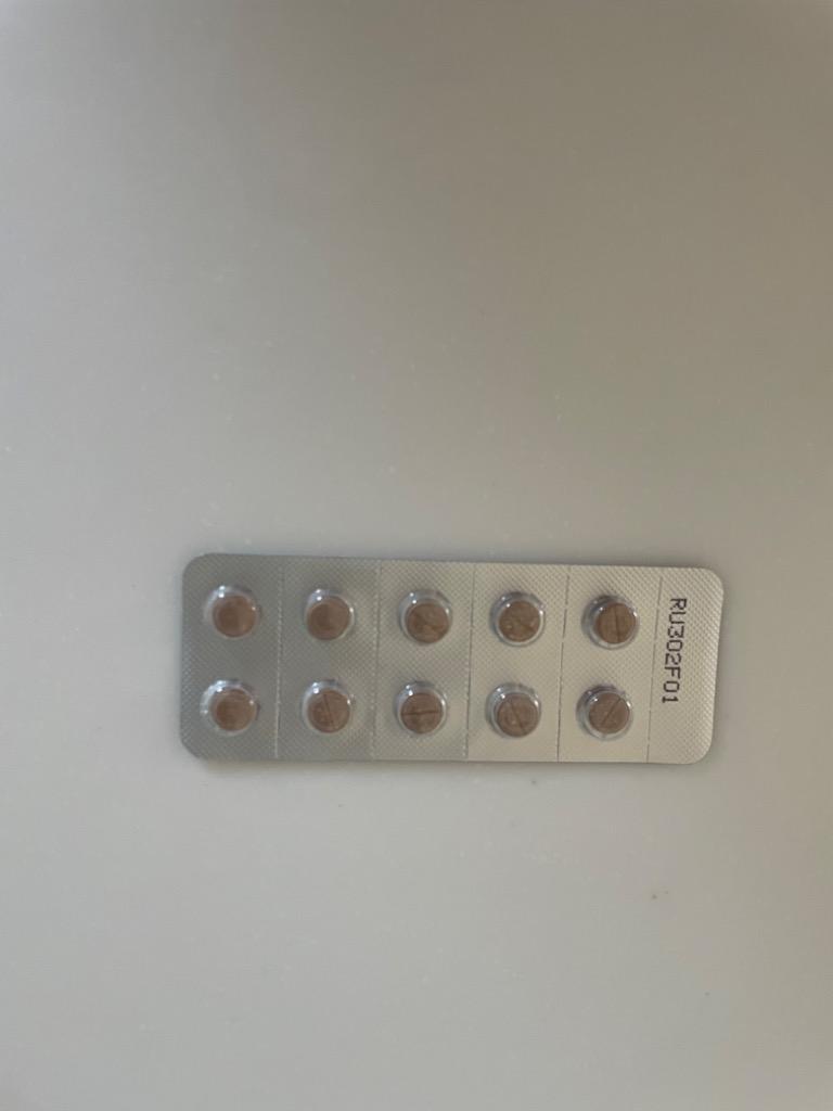 大型犬用 健康補助食品 R＆U90 (100粒) 送料無料 R&U90 | ペットゴー