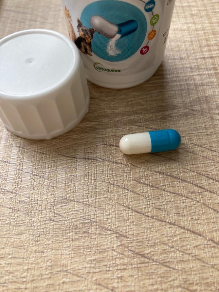 有名なブランド ジルケーン 75mg fucoa.cl