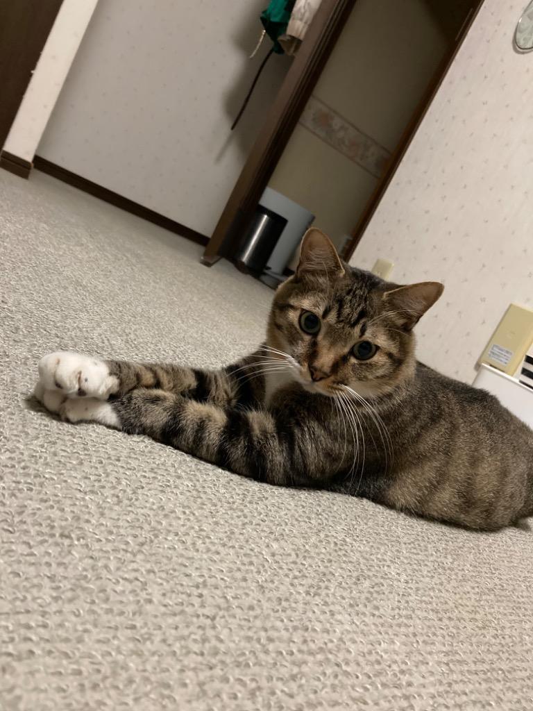 10件目のレビュー画像 | 0