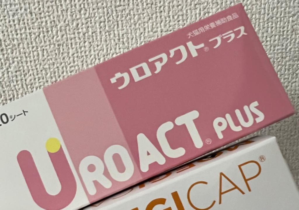 激安ブランド 全 新商品 日本全薬工業 ヘパアクトプラス 100粒 fucoa.cl