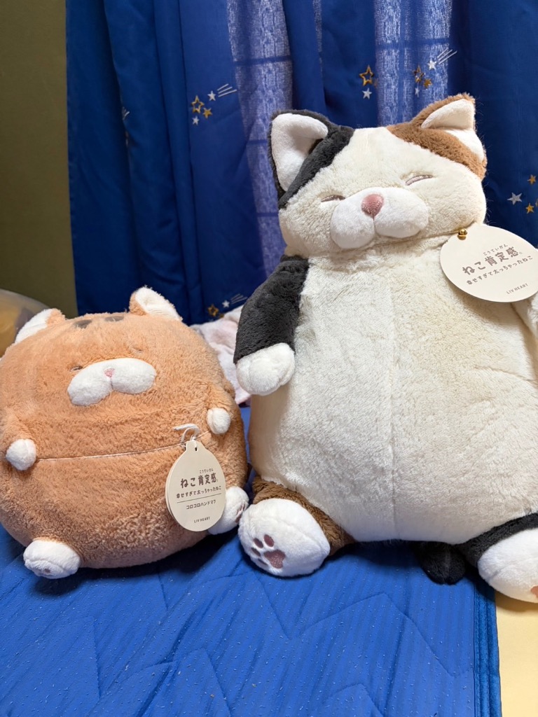 LivHeart（りぶはあと） 【即納】ねこ肯定感 抱きまくらL みけねこの