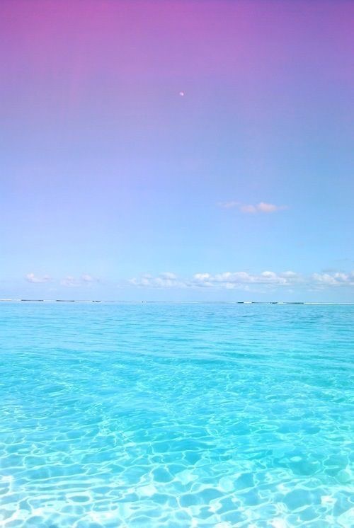 全体のレビュー画像 | 4-0