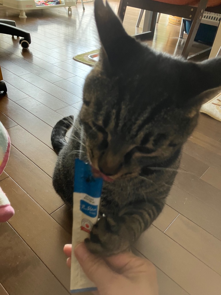 当店人気No.1 無添加ピュア 日本産 猫用おやつ ねこぴゅーれ 当店人気No.1 無添加ピュア 日本産 猫用おやつ ねこぴゅーれ