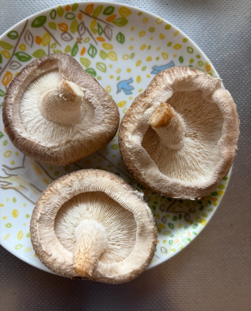 全体のレビュー画像 | 6-0