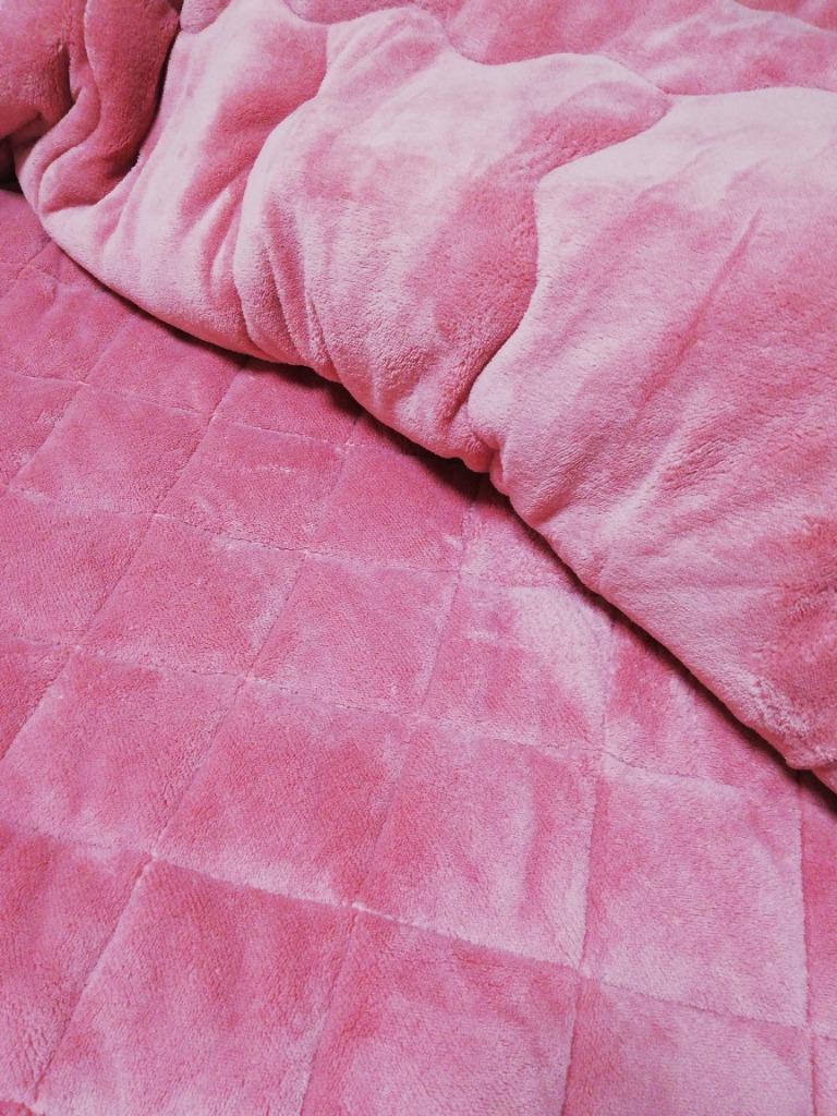 本日限定投稿】届いたばかり！！新品未使用！ ひな暖 毛布 シングル