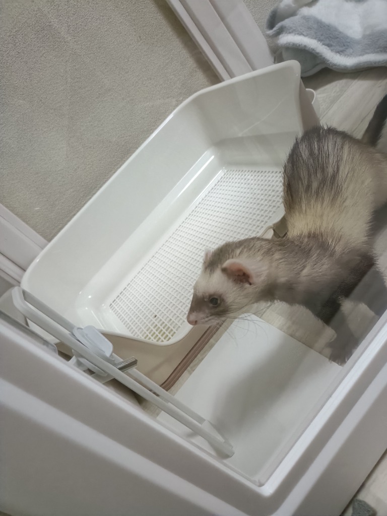 全体のレビュー画像 | 0-2