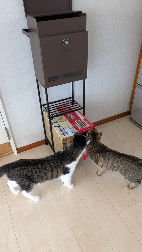 レビュー画像