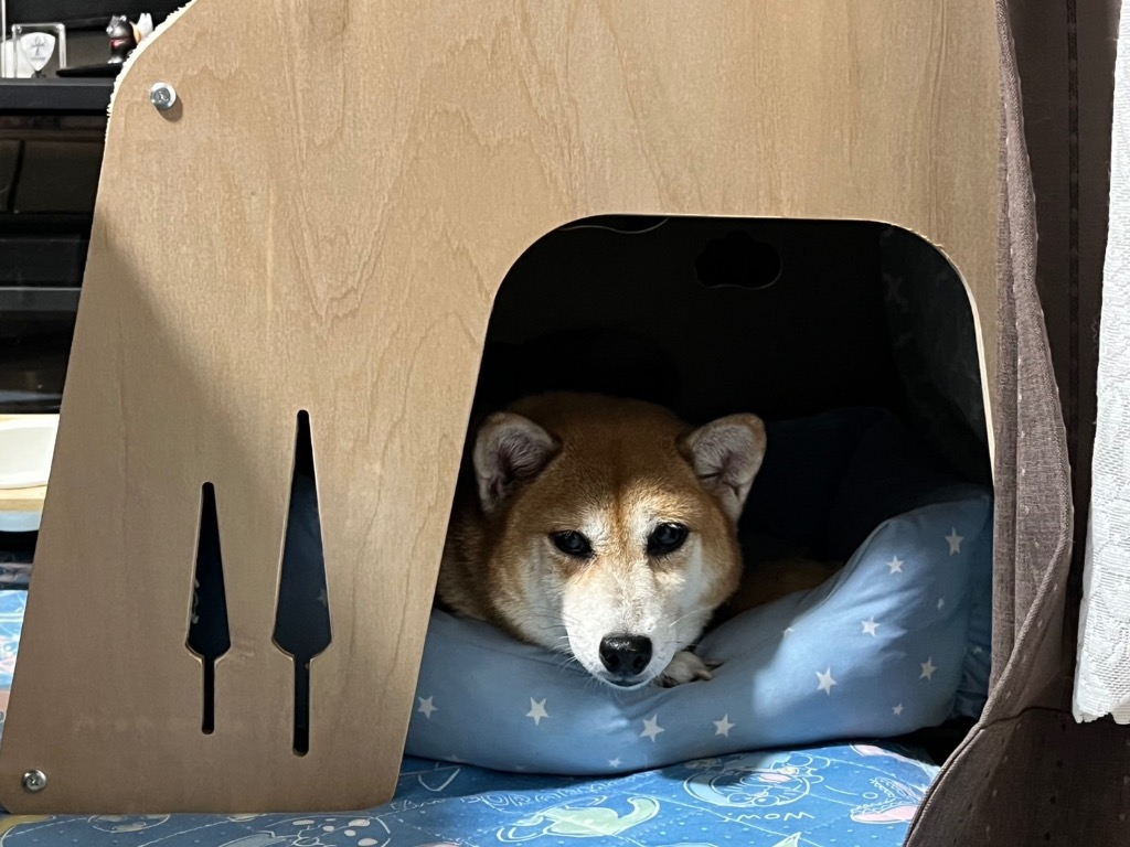 全体のレビュー画像 | 0-0