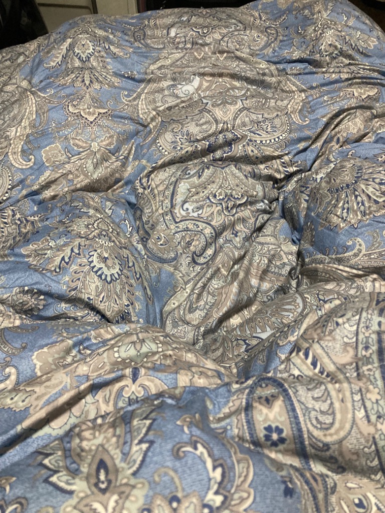 全体のレビュー画像 | 0-0