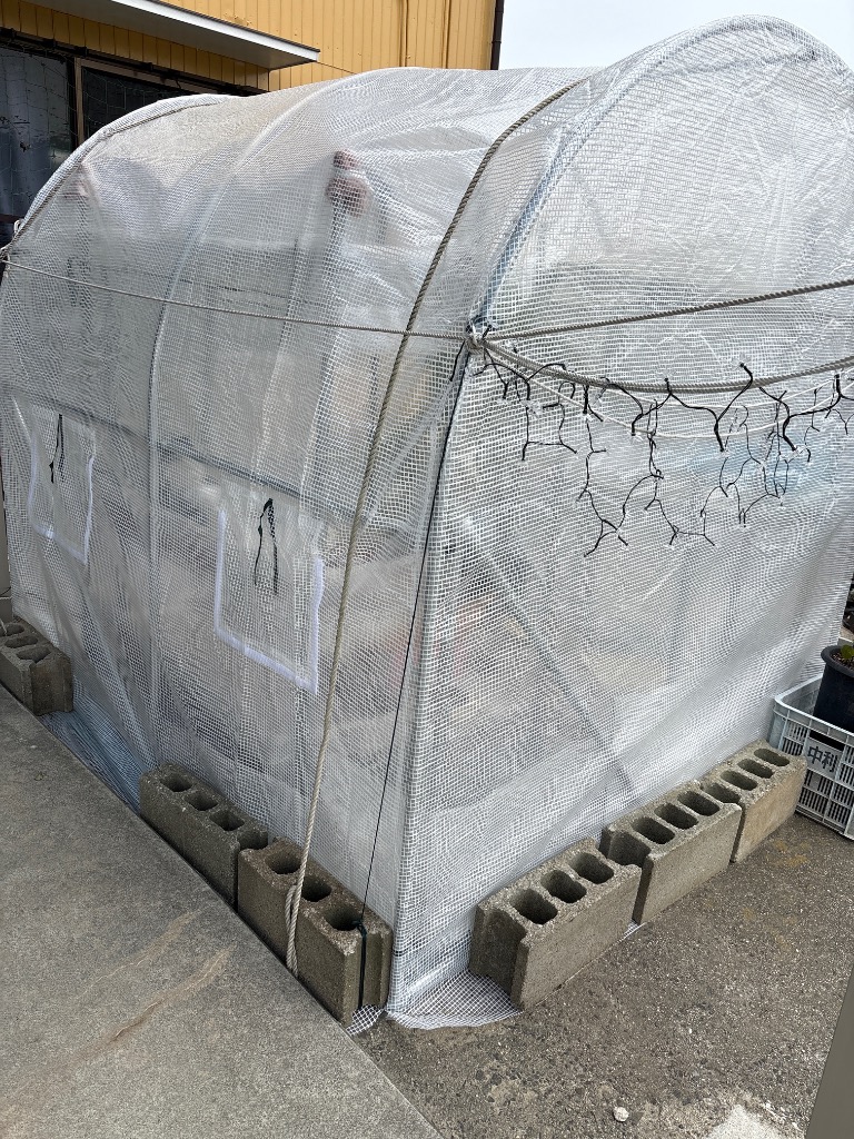 1件目のレビュー画像 | 0