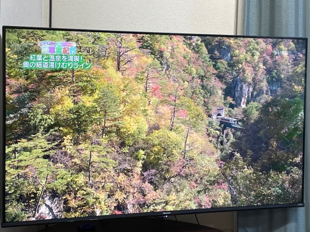 テレビ 液晶テレビ 50型 4Kテレビ 4Kチューナー内蔵液晶テレビ NEO