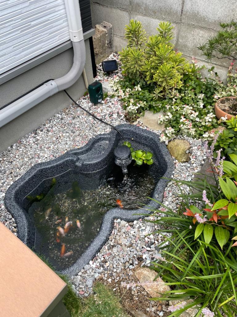 ゼンスイ なごみ池 L 90L 庭園埋め込みタイプ ひょうたん池 ビオトープ-
