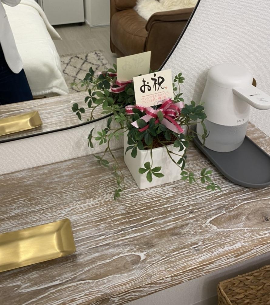 934円 【68%OFF!】 シュガーバイン DB ミニプラント 造花 観葉植物 フェイクグリーン ミニ 消