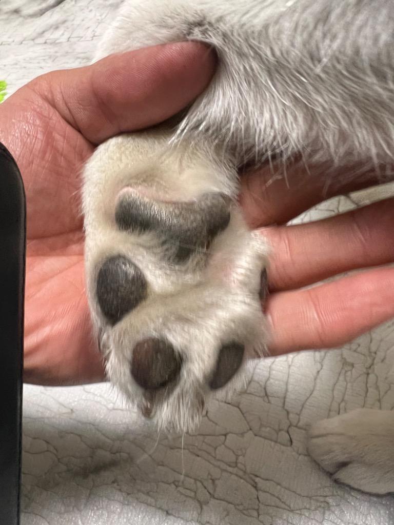 全体のレビュー画像 | 3-0