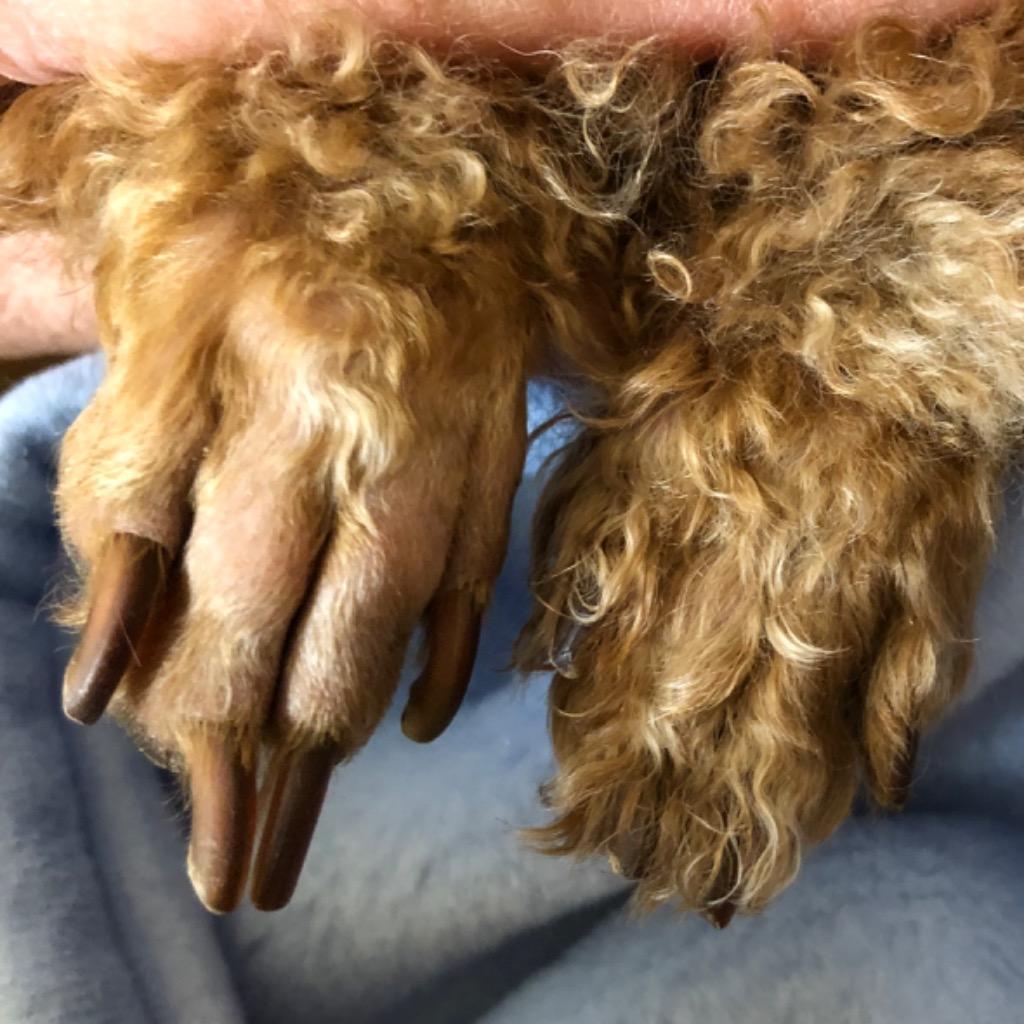 全体のレビュー画像 | 10-0