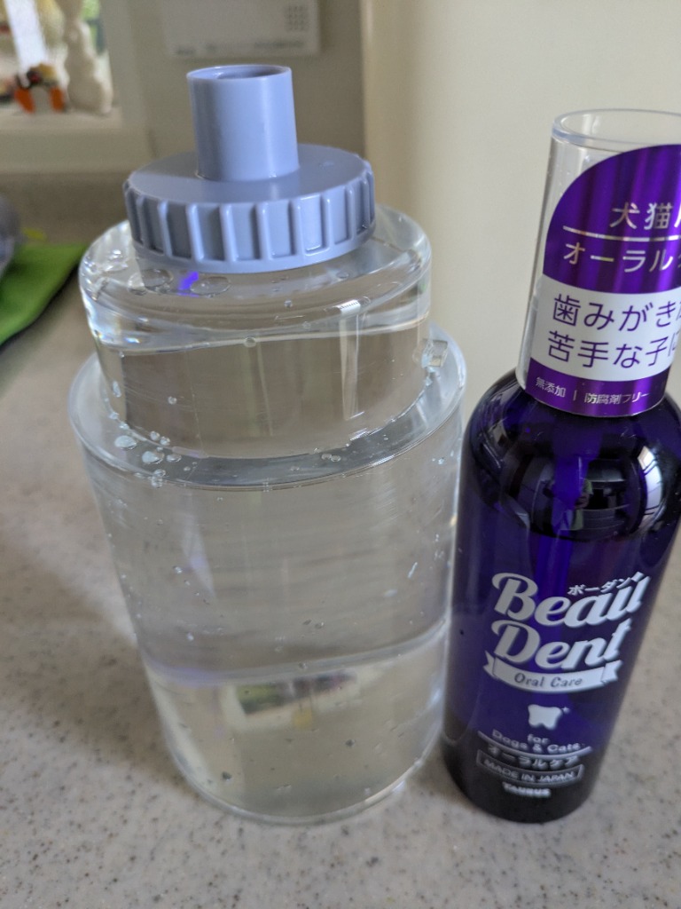 トーラス  ボーダン 犬猫用　オーラルケア240ml 6本セット デンタル east-toraya_240626-006