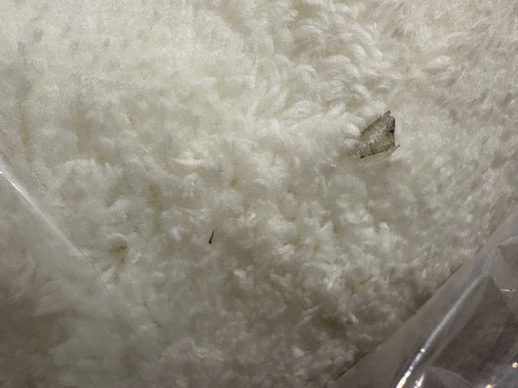 1件目のレビュー画像 | 0