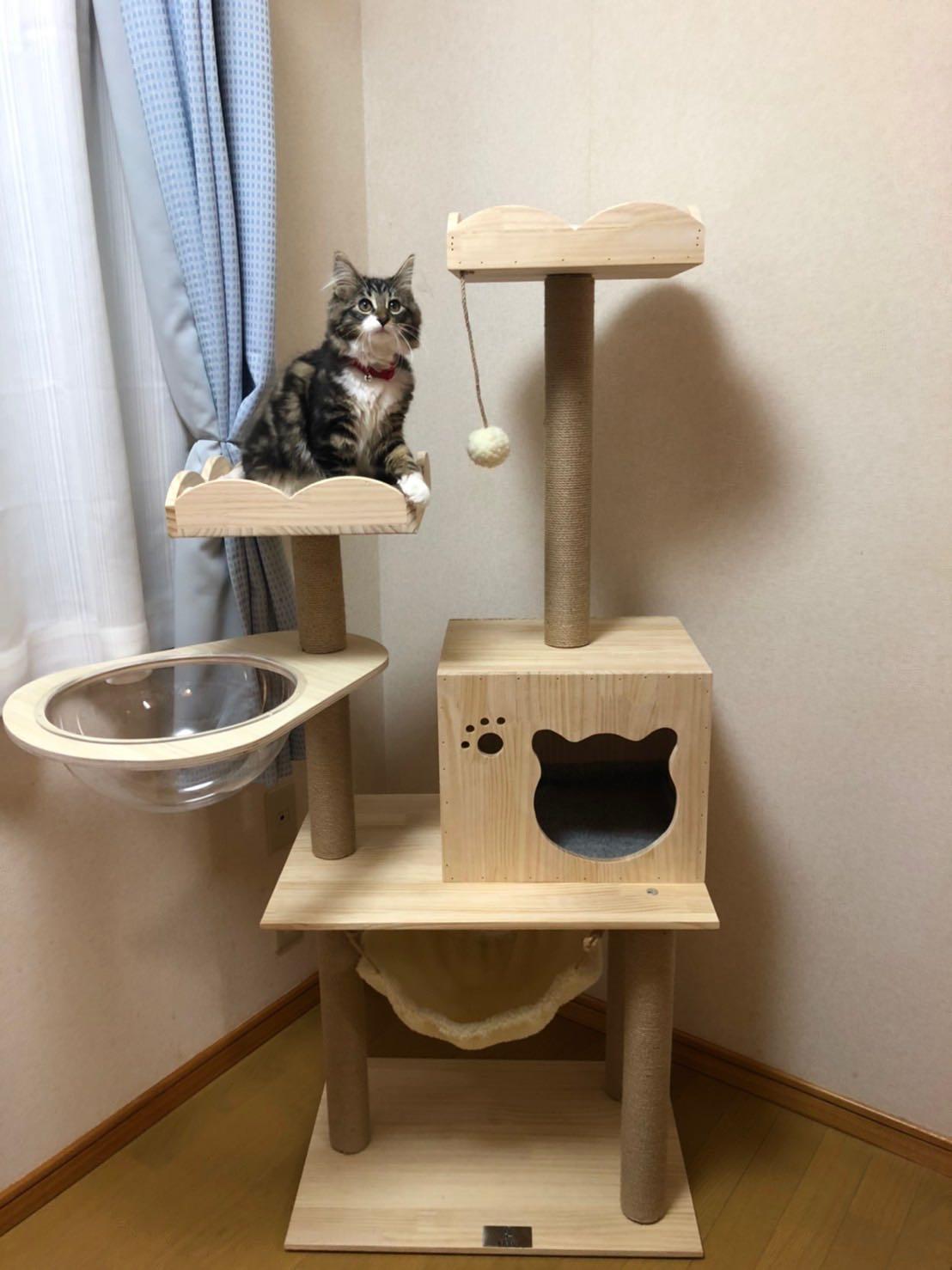 タワーキャット 木登りタワー 宇宙船 ハンモック付き キャットタワー 突っ張り ヤマダモール | 【RAKU】 木登りタワー 期間限定宇宙船