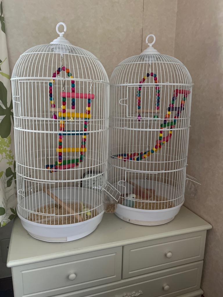 RAKU 鳥カゴ 鳥かご 鳥小屋 多頭飼い 鳥ケージ バードパレス