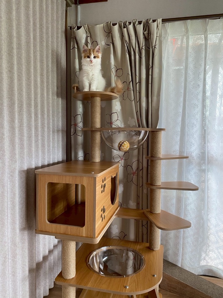 全体のレビュー画像 | 10-0