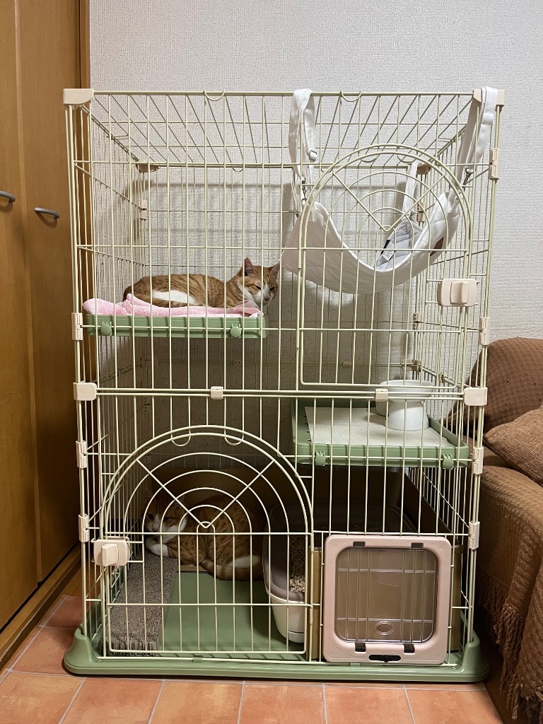 レビュー画像