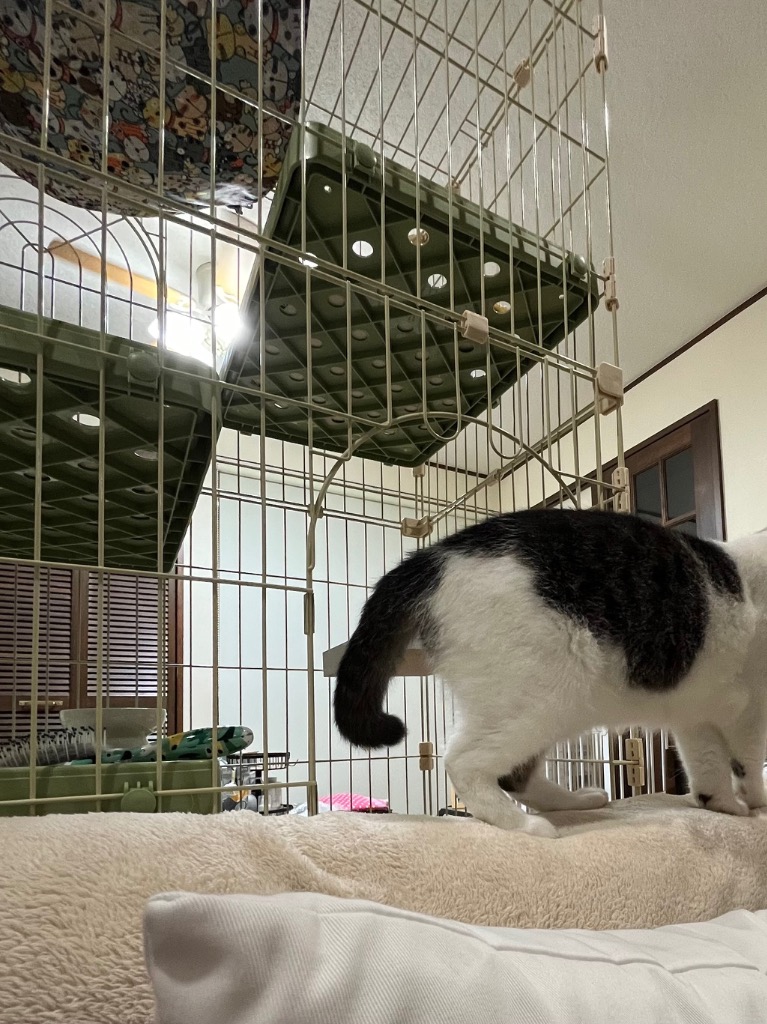 RAKU 猫ケージ 大型 キャットケージ 猫ハウス 1段 2段 3段