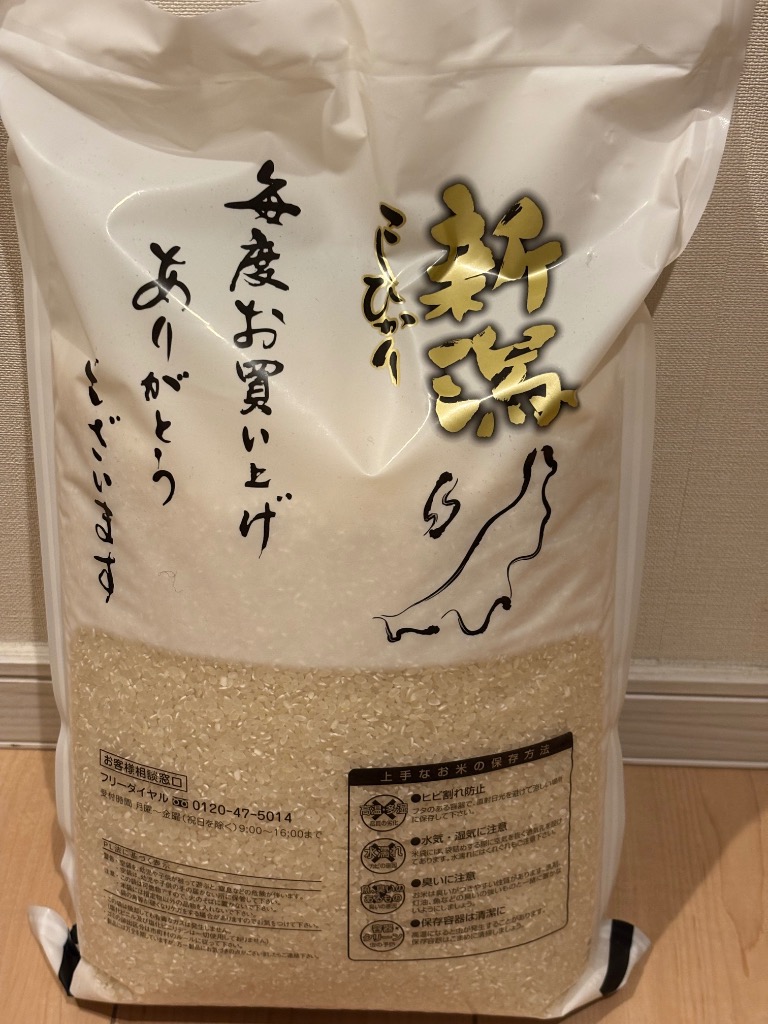 コシヒカリ 米 10kg 新潟県産コシヒカリ お米 10キロ 白米 令和6