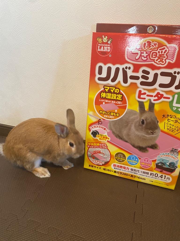 1件目のレビュー画像 | 0